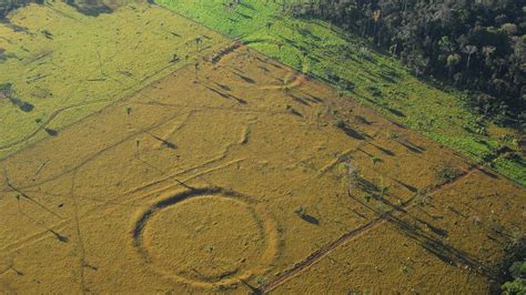  A Curupira’s Revenge: Unveiling the Mystery Behind Brazil's Enigmatic Forest Guardian!